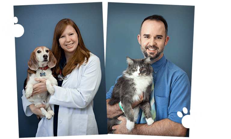 Animal Hospital in Cedar Lake | Hanover Veterinary Hospital