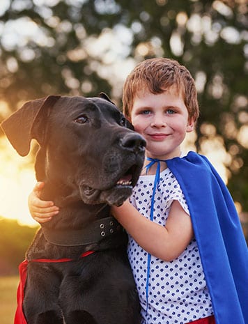 fear free practice: big dog boy with cape