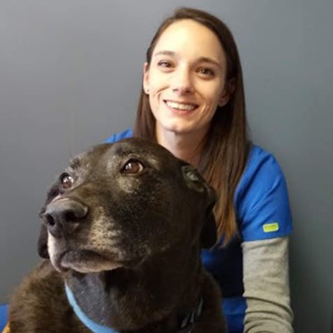 Meet Our Veterinary Staff in Cedar Lake | Hanover Veterinary Hospital